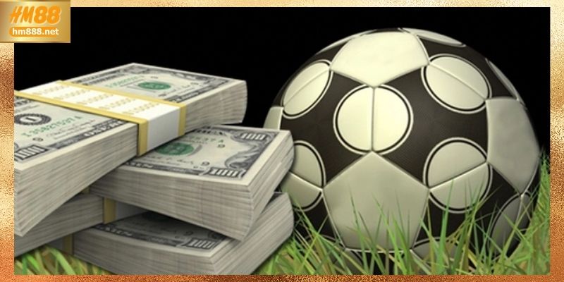 Chiến lược tham gia cá cược football hiệu quả